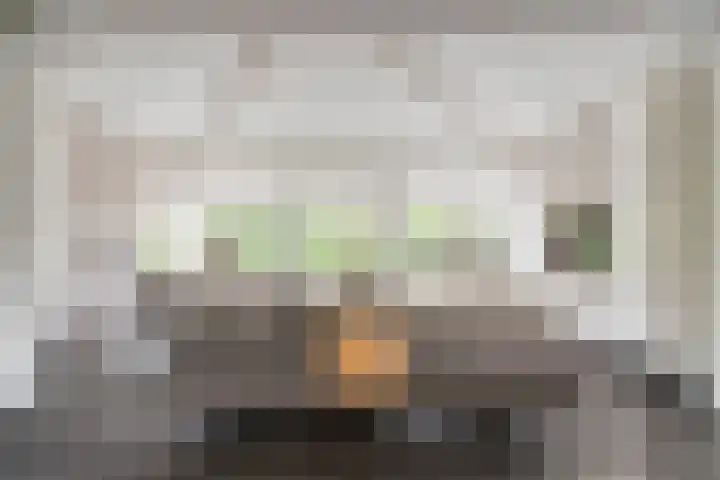 Molenheidseweg 12 Mill thumbnail 15