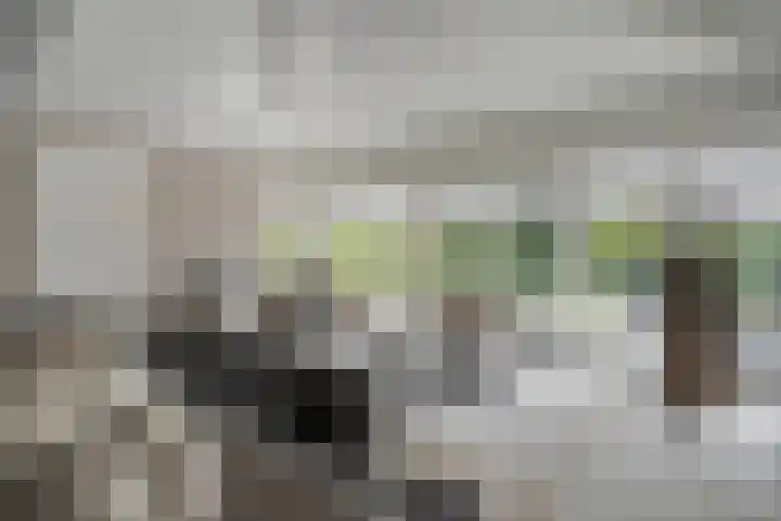 Molenheidseweg 12 Mill thumbnail 16