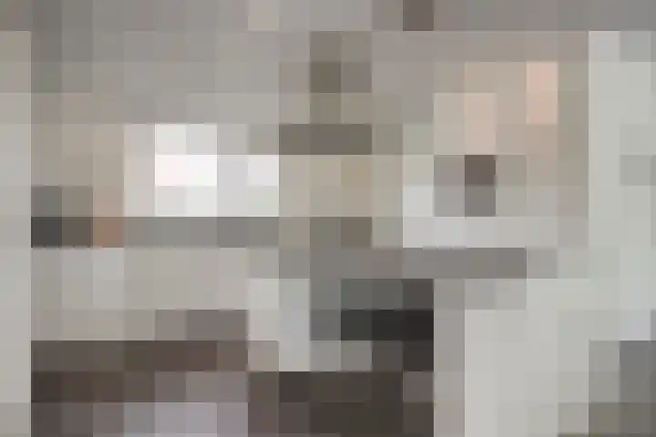 Molenheidseweg 12 Mill thumbnail 19