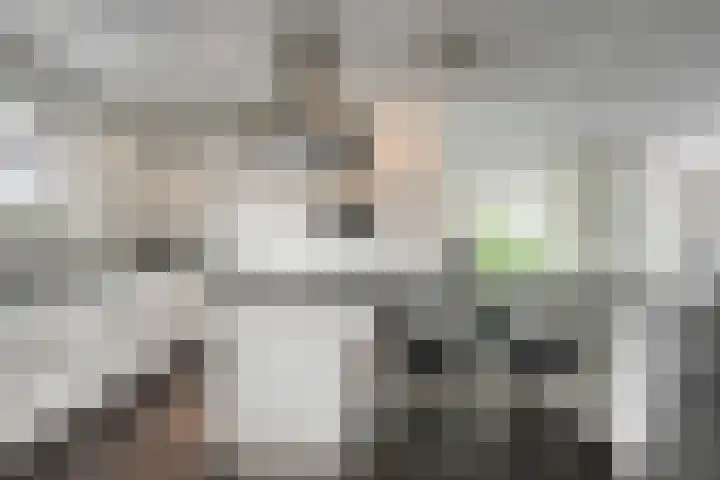 Molenheidseweg 12 Mill thumbnail 20