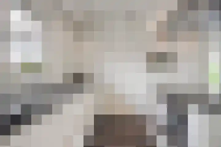 Molenheidseweg 12 Mill thumbnail 21