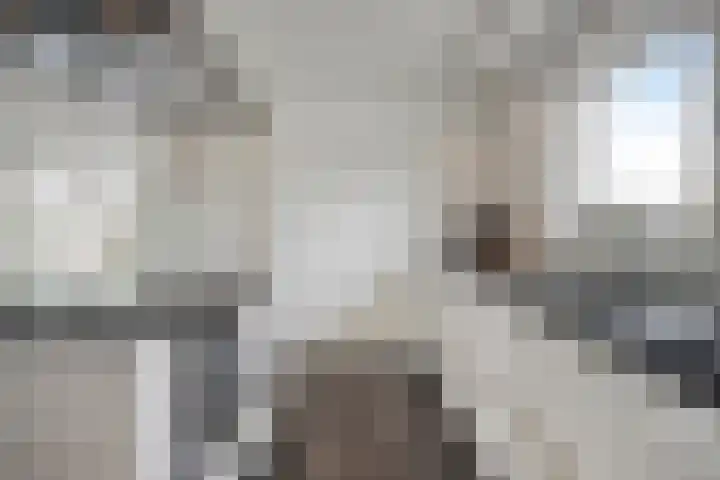 Molenheidseweg 12 Mill thumbnail 23