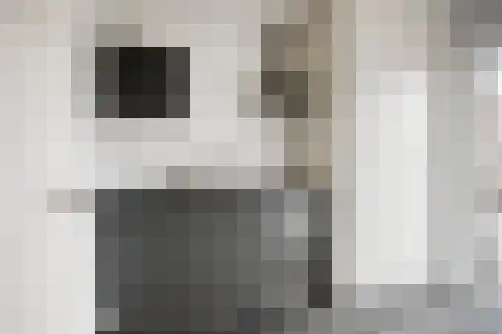 Molenheidseweg 12 Mill thumbnail 24