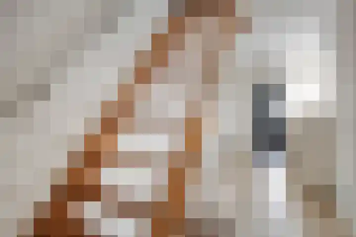 Molenheidseweg 12 Mill thumbnail 25