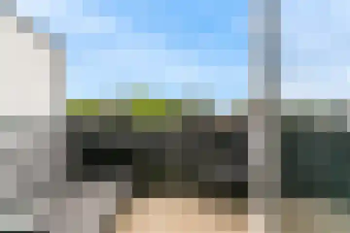 Molenheidseweg 12 Mill thumbnail 28