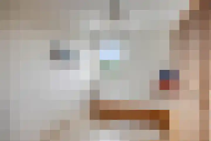 Molenheidseweg 12 Mill thumbnail 31