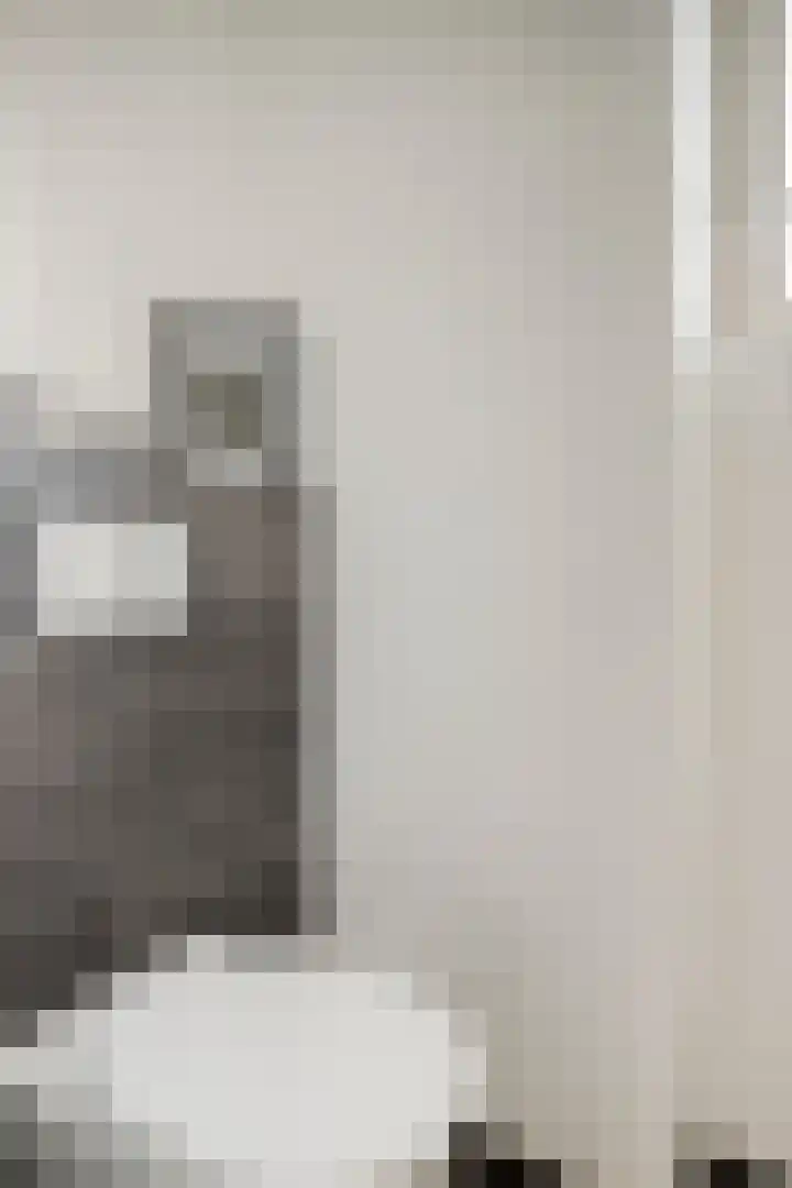 Molenheidseweg 12 Mill thumbnail 32