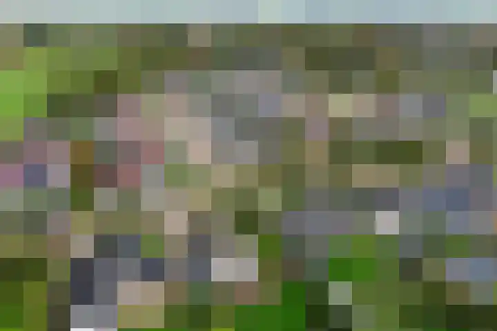 Molenheidseweg 12 Mill thumbnail 34