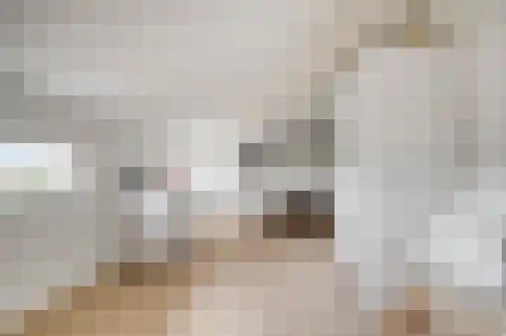 Molenheidseweg 12 Mill thumbnail 36