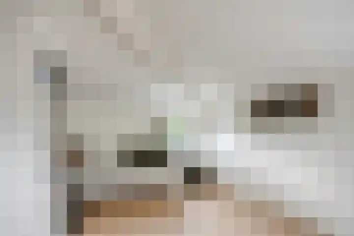 Molenheidseweg 12 Mill thumbnail 37