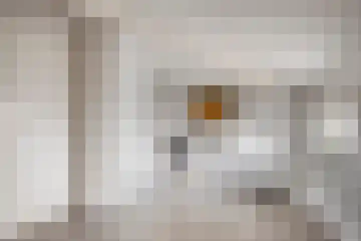 Molenheidseweg 12 Mill thumbnail 39
