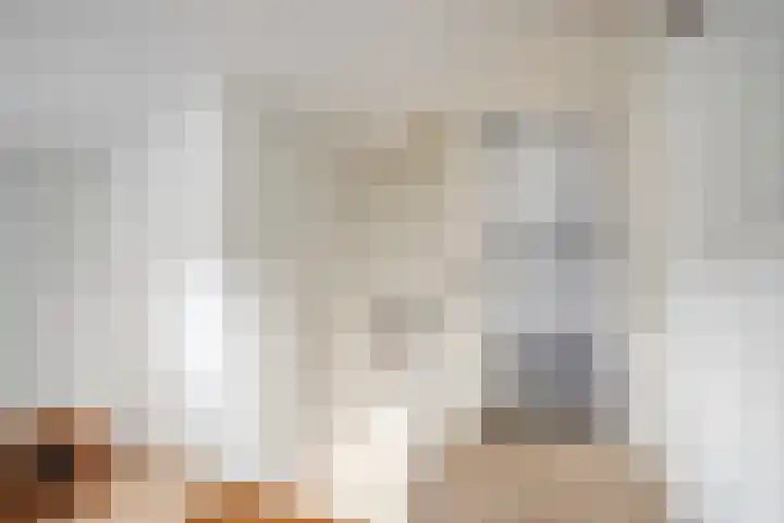 Molenheidseweg 12 Mill thumbnail 40