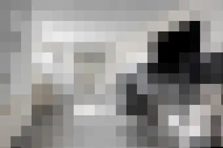 Molenheidseweg 12 Mill thumbnail 42