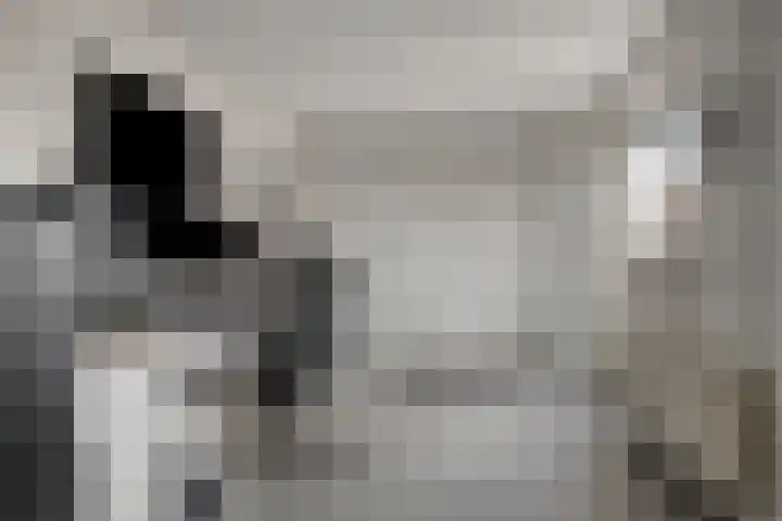 Molenheidseweg 12 Mill thumbnail 44