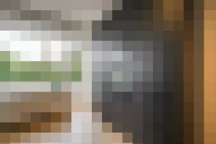 Molenheidseweg 12 Mill thumbnail 45