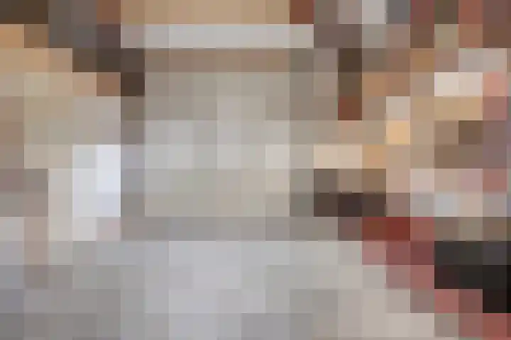Molenheidseweg 12 Mill thumbnail 47