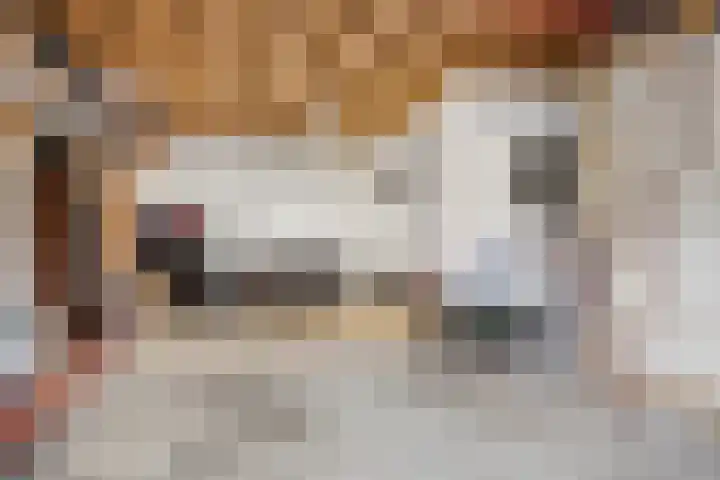 Molenheidseweg 12 Mill thumbnail 48