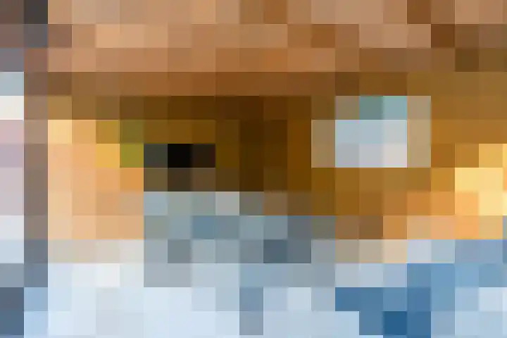 Molenheidseweg 12 Mill thumbnail 49