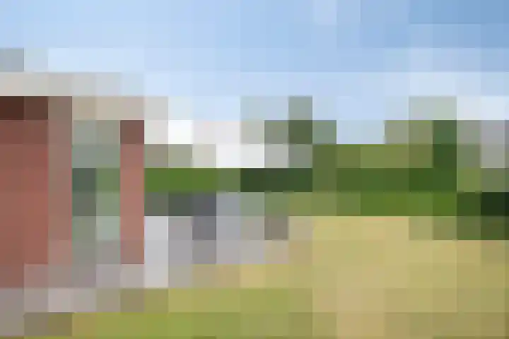 Molenheidseweg 12 Mill thumbnail 50