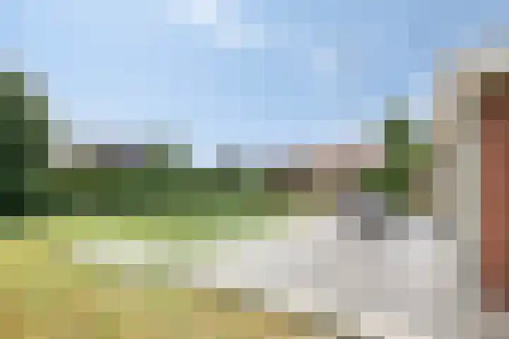 Molenheidseweg 12 Mill thumbnail 51
