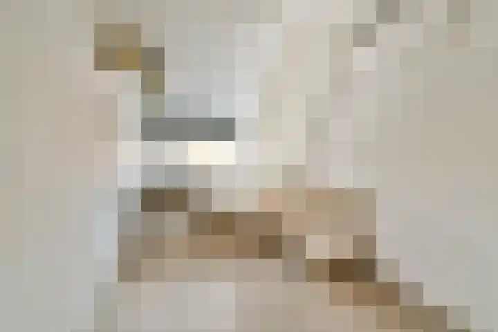 Molenhoef 20 Hendrik-Ido-Ambacht thumbnail 17