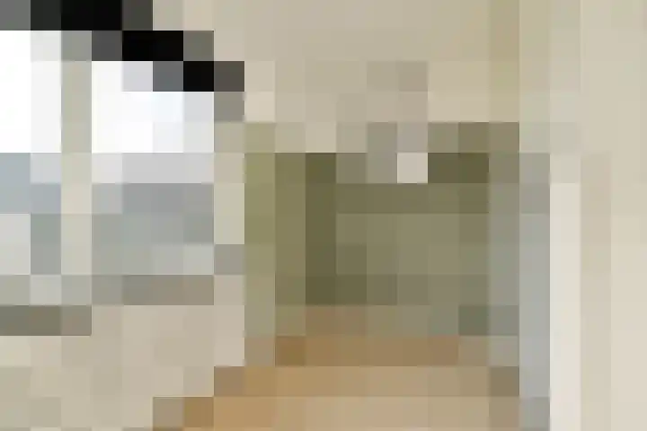Molenhoef 20 Hendrik-Ido-Ambacht thumbnail 19