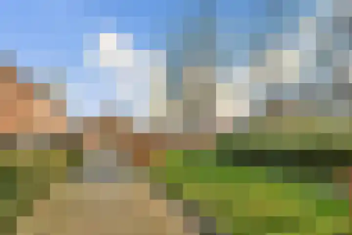 Molenhoef 20 Hendrik-Ido-Ambacht thumbnail 26
