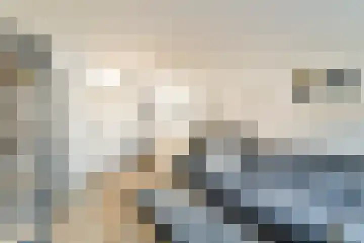 Molenhoef 20 Hendrik-Ido-Ambacht thumbnail 7