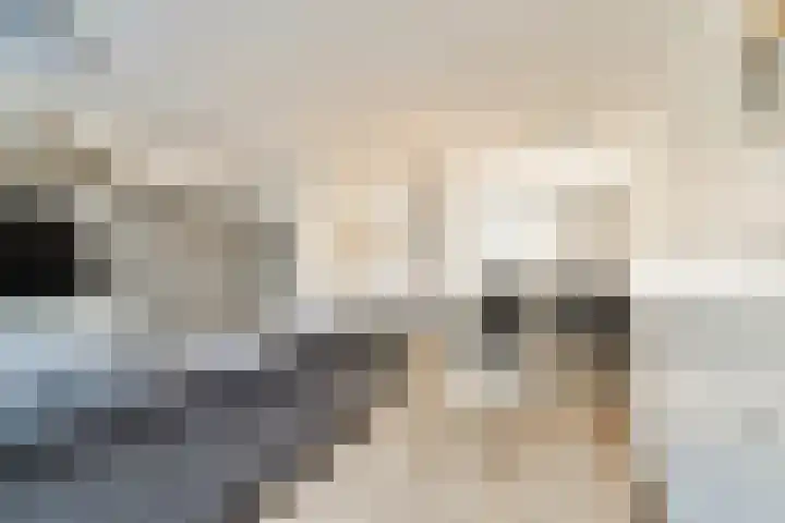 Molenhoef 20 Hendrik-Ido-Ambacht thumbnail 8