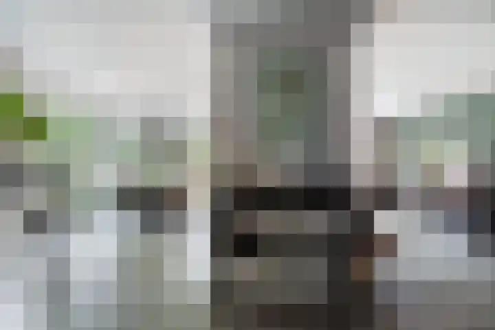 Molenhoef 43 Hendrik-Ido-Ambacht thumbnail 10