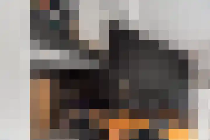 Molenhoef 43 Hendrik-Ido-Ambacht thumbnail 23