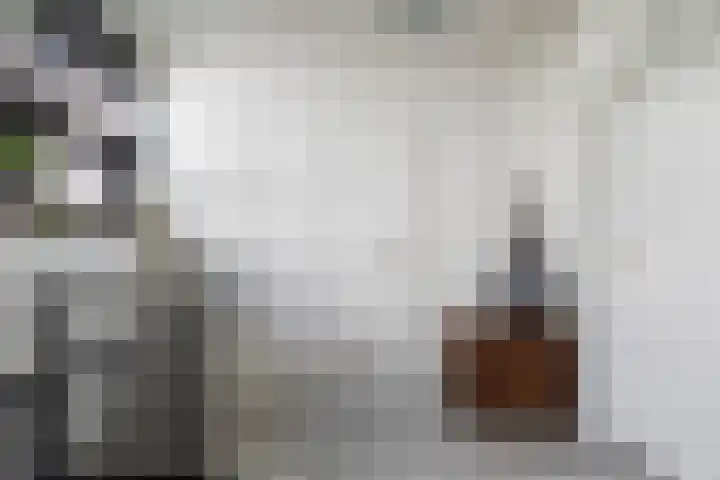 Molenhoef 43 Hendrik-Ido-Ambacht thumbnail 28