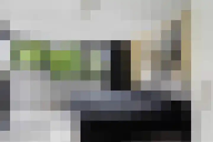 Molenhoef 43 Hendrik-Ido-Ambacht thumbnail 30