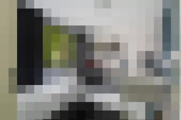 Molenhoef 43 Hendrik-Ido-Ambacht thumbnail 32