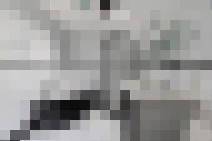Molenhoef 43 Hendrik-Ido-Ambacht thumbnail 34