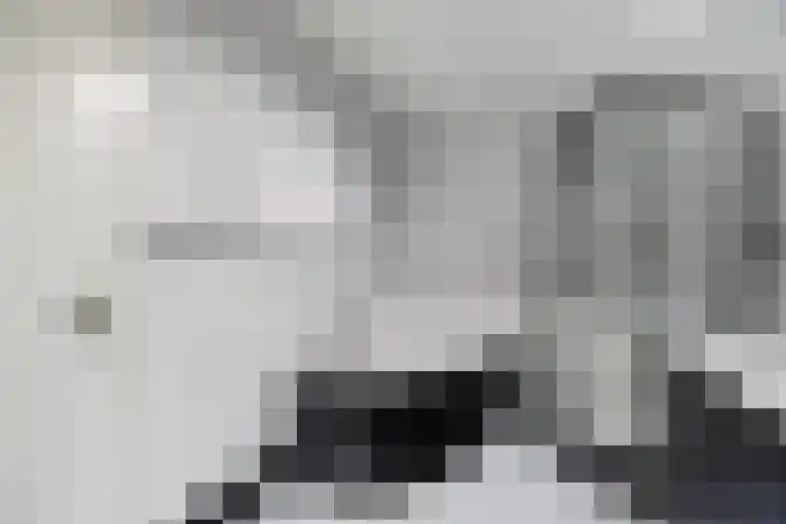 Molenhoef 43 Hendrik-Ido-Ambacht thumbnail 35
