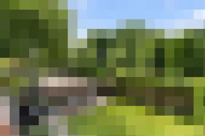 Molenhoef 43 Hendrik-Ido-Ambacht thumbnail 4