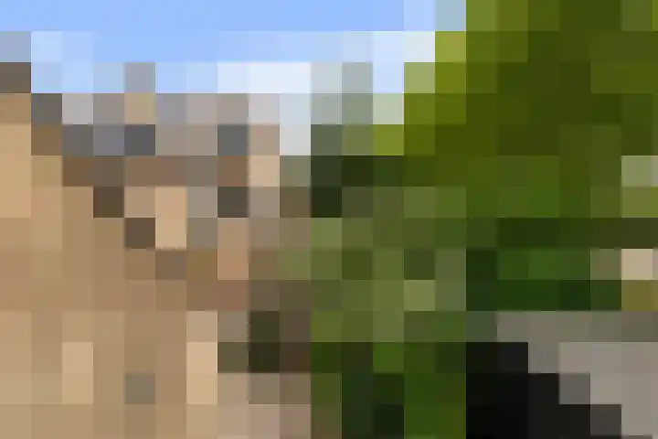 Molenhoef 43 Hendrik-Ido-Ambacht thumbnail 42