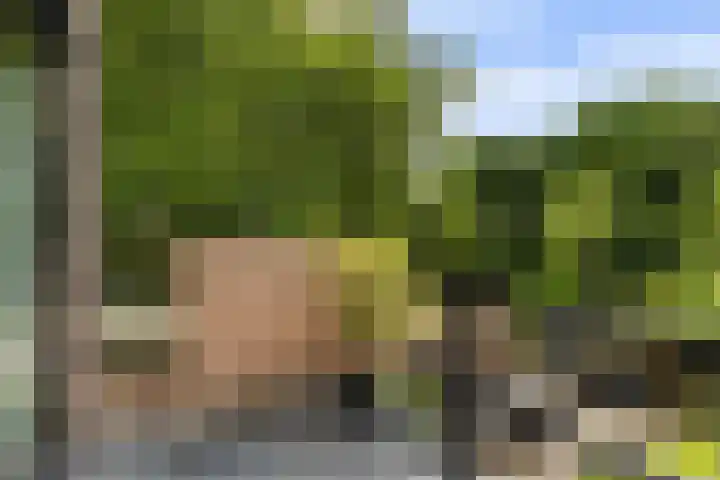 Molenhoef 43 Hendrik-Ido-Ambacht thumbnail 45
