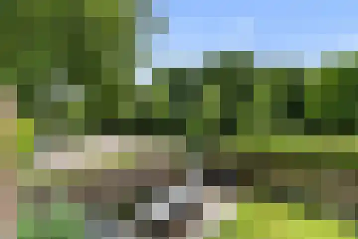 Molenhoef 43 Hendrik-Ido-Ambacht thumbnail 46