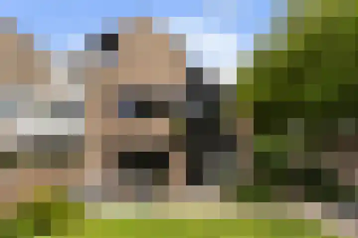 Molenhoef 43 Hendrik-Ido-Ambacht thumbnail 48
