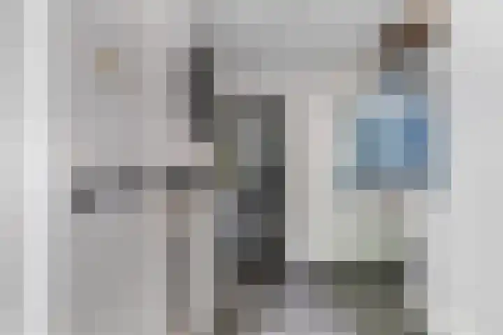Molenhoef 43 Hendrik-Ido-Ambacht thumbnail 5