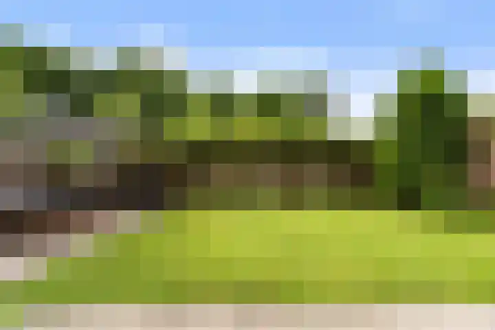 Molenhoef 43 Hendrik-Ido-Ambacht thumbnail 50