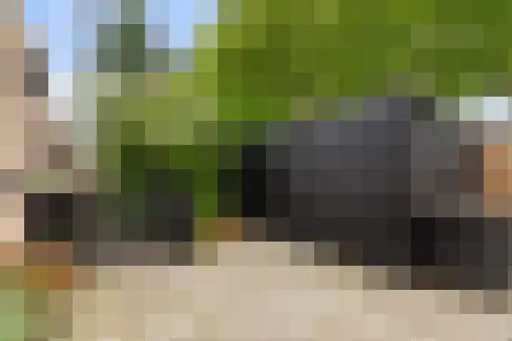 Molenhoef 43 Hendrik-Ido-Ambacht thumbnail 55