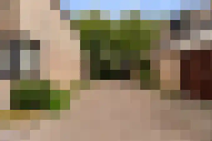 Molenhoef 43 Hendrik-Ido-Ambacht thumbnail 56