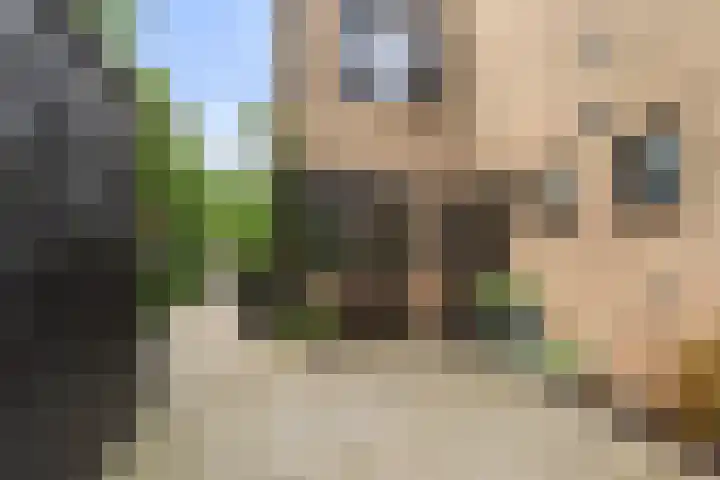 Molenhoef 43 Hendrik-Ido-Ambacht thumbnail 57