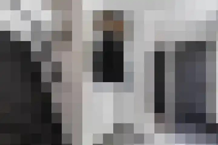 Molenhoef 43 Hendrik-Ido-Ambacht thumbnail 6