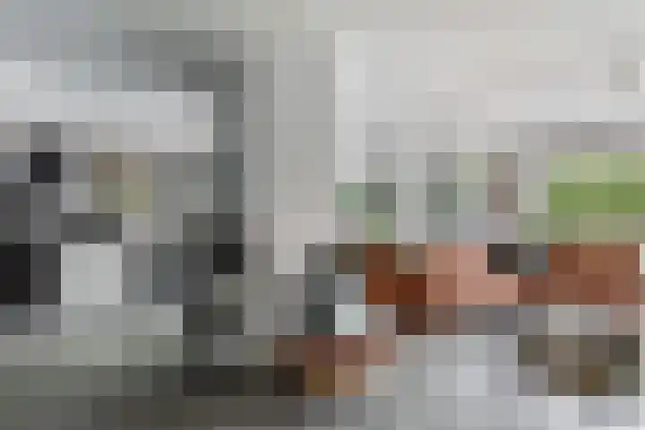 Molenhoef 43 Hendrik-Ido-Ambacht thumbnail 7