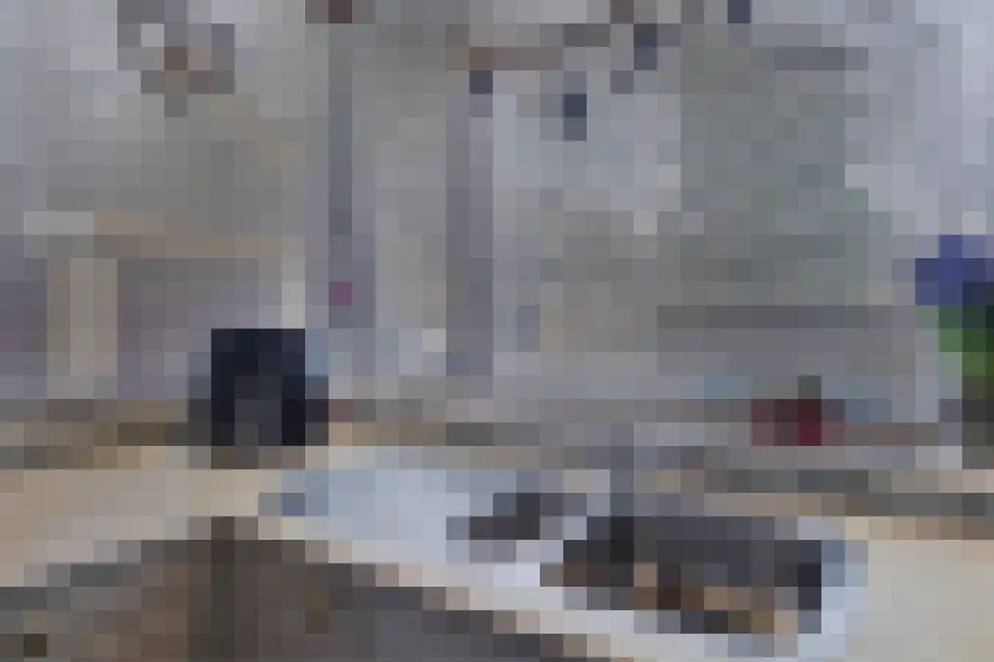 Molenhoef 45 Hendrik-Ido-Ambacht thumbnail 23