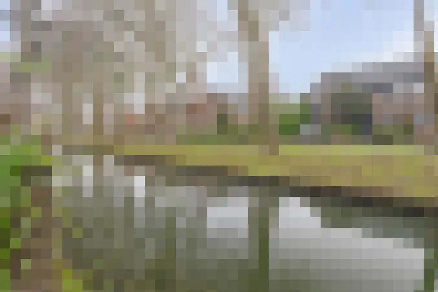 Molenhoef 45 Hendrik-Ido-Ambacht thumbnail 4